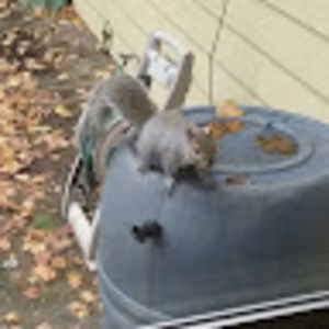 Meet your Posher, Mary